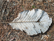 PXL_20260301_013223180