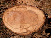 PXL_20260308_023029708