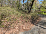 PXL_20260409_000743777
