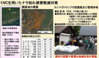 TWC被害軽減の減みB12