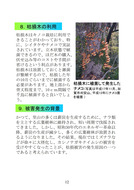 ナラ集団枯損被害と森林の変化(石川県)_15