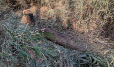 PXL_20260131_032619865