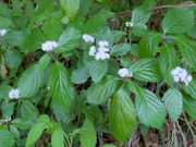 PXL_20260513_030458975