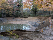 PXL_20251129_062640956