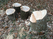 PXL_20251226_022824437