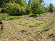 PXL_20260422_013123745