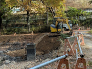 PXL_20251124_005840216