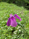 PXL_20260604_031847558