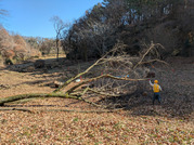 PXL_20251216_020120022