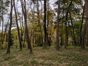 PXL_20251117_235116387