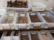 PXL_20251222_052323387