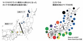 ナラ枯れ被害対策マニュアル図