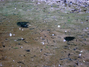 P5190009