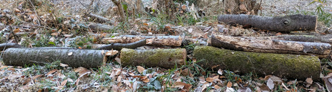 PXL_20251205_234301428