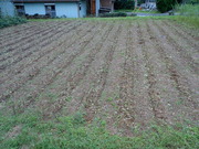 DSCN0780