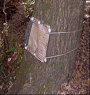 生きもの防護金網