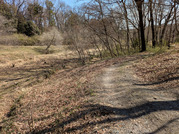 PXL_20260314_030032958