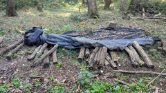 PXL_20251117_022405749