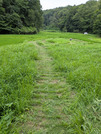PXL_20260728_030720056