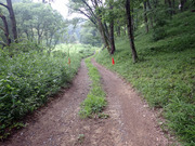 P7060018