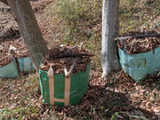 PXL_20260130_022521297