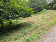 PXL_20260804_021857958