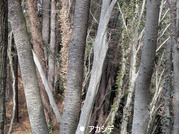 PXL_20260301_020338142