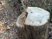 PXL_20260111_011032261