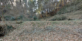 PXL_20260118_052557429