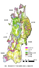 東北地方の森林植生マップ_1