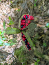 PXL_20260805_041524619