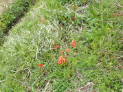 P4100010