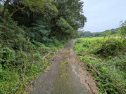 PXL_20260912_234847131