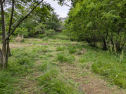 PXL_20260506_073308489