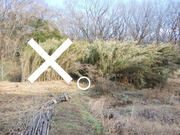 DSCN2630