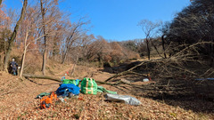 PXL_20251216_015938096