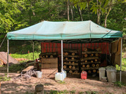 PXL_20260421_062605053