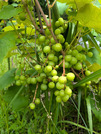 PXL_20260624_011944443