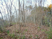 DSCN1159