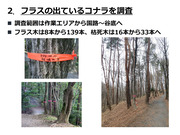 市民の森のナラ枯れと蔓延_07