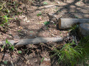 PXL_20260502_021404035
