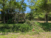 PXL_20260518_022617725