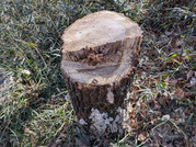 PXL_20260111_020834769