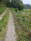 PXL_20260508_024652737