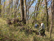 PXL_20260403_015230574