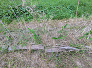 PXL_20260729_085302397