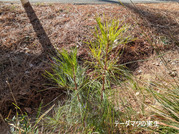 PXL_20260118_020432731