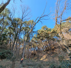 PXL_20260116_015039069