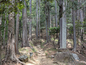 PXL_20260531_025135303