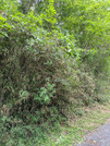 PXL_20260816_020857852